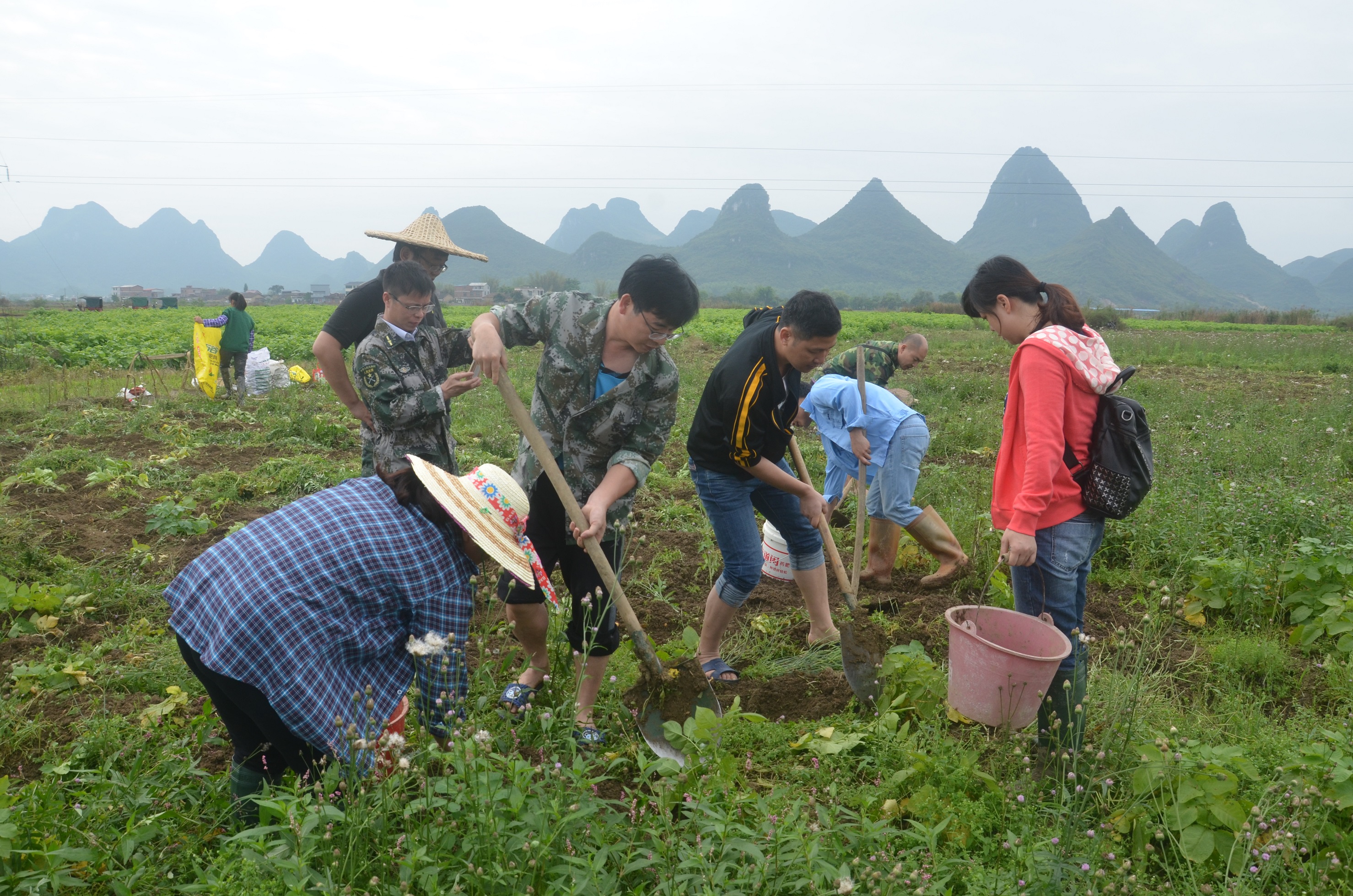 学员与农民同劳动